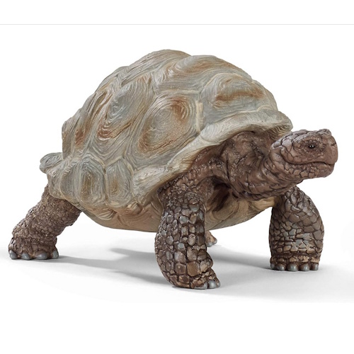 Schleich Tortoise